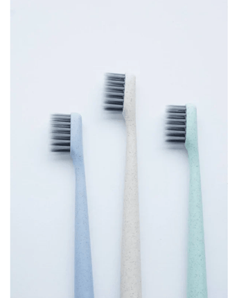 Brosse à dent biodégradable avec charbon infusé - Bébé LoupHappy