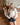 Cardigan Denise beige - Bébé LoupRose maternité