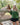 Cardigan vert épinette - Bébé LoupRose maternité