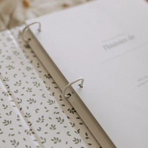 Livre bébé sauge et or - Bébé LoupLe petit tableau noir