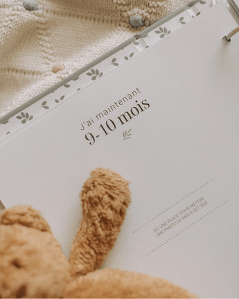 Livre bébé sauge et or - Bébé LoupLe petit tableau noir