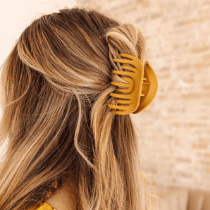 Pince Arc - en - ciel Pecan - Bébé LoupAndi