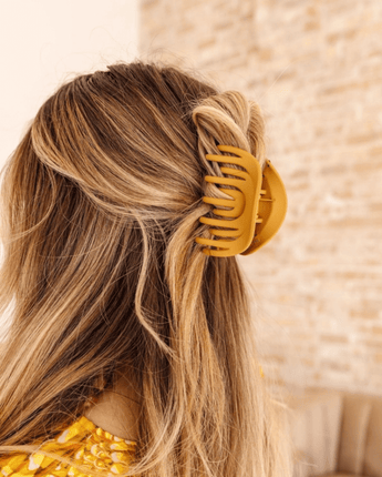 Pince Arc - en - ciel Pecan - Bébé LoupAndi