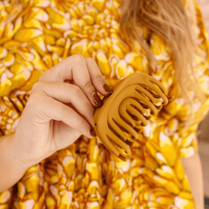 Pince Arc - en - ciel Pecan - Bébé LoupAndi