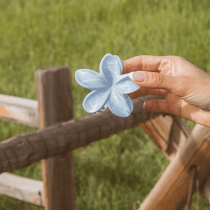 Pince fleur tropicale bleue - Bébé LoupAndi