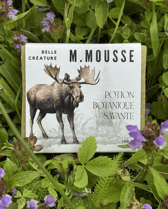 Savon M. Mousse - Bébé LoupSavonnerie des Diligences