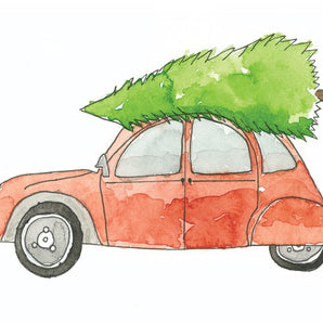 Solange Mini carte de souhait - Bébé LoupStéphanie Renière illustrations