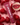 Traitement lèvres smoothie framboise açaï - Bébé LoupESW