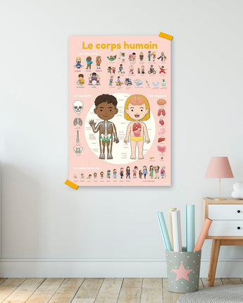 Affiche découverte corps humain - Bébé Louppoppik