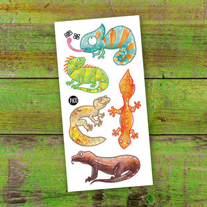 Tatouage temporaire Les lézards - Bébé LoupPico tatouages temporaires